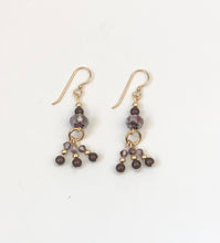 Load image into Gallery viewer, Purple Crystal Dangle Beaded Ear rings