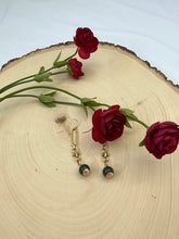 Load image into Gallery viewer, Gold Chain and Round Jasper Dangle Earrings
